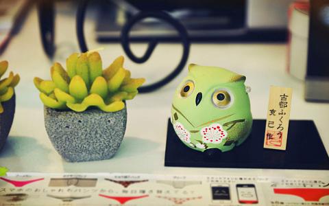 自然清新绿色盆栽壁纸图片第5张