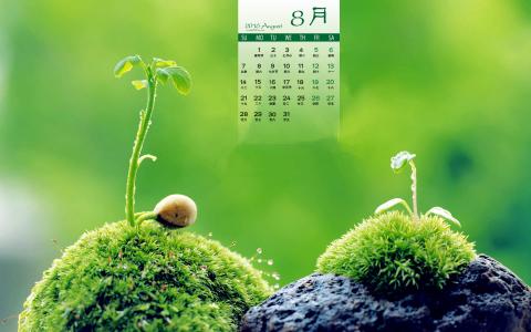 高清风景壁纸图片 _ 第(2)张