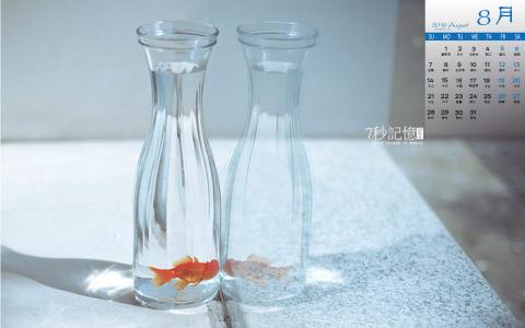 金鱼图片 _ 第(8)张