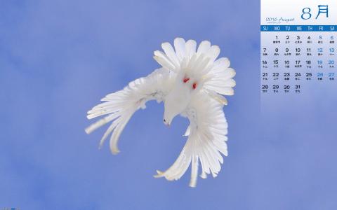 图片 _ 第(4)张