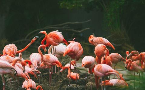 图片 _ 第(10)张