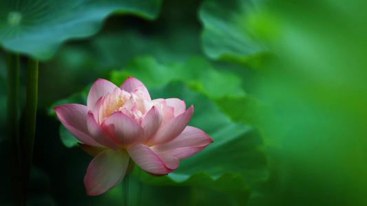 图片 _ 第(1)张