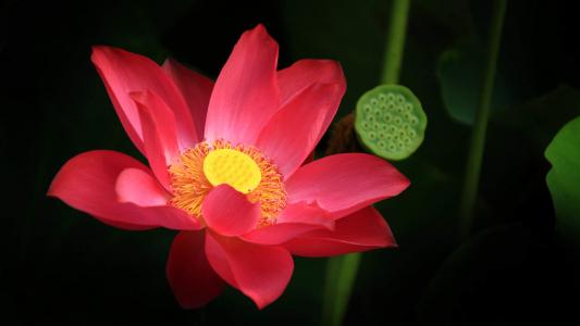 图片 _ 第(4)张