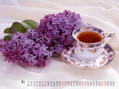 2016年8月日历第0张