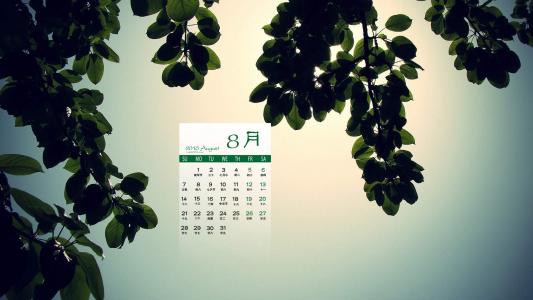 图片 _ 第(2)张