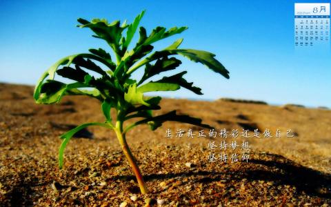图片 _ 第(1)张
