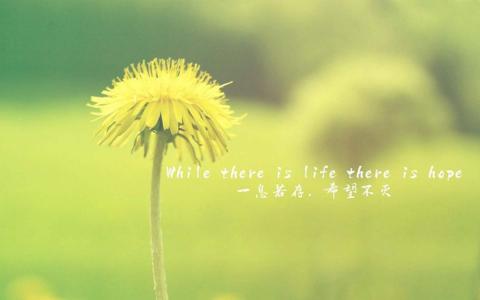 纯黑背景文字控手机壁纸第5张