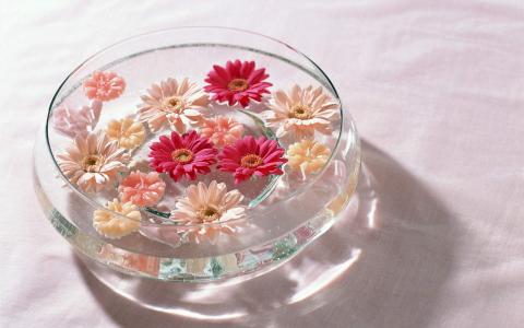花束图片图片 _ 第(7)张