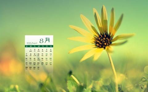 图片 _ 第(1)张