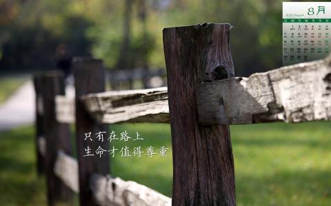 图片 _ 第(1)张