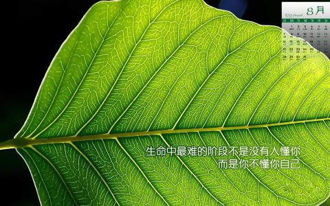 图片 _ 第(6)张