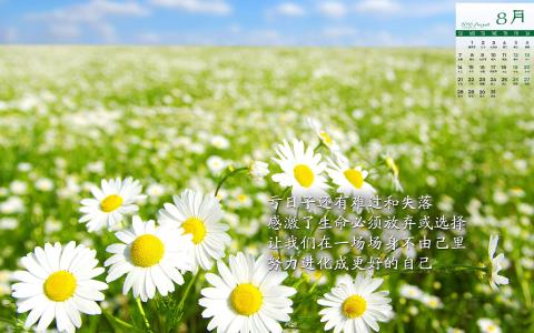 图片 _ 第(7)张