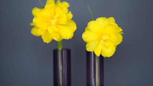 情人节图片 _ 第(8)张