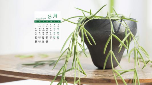 图片 _ 第(1)张