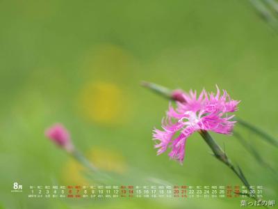 图片 _ 第(5)张