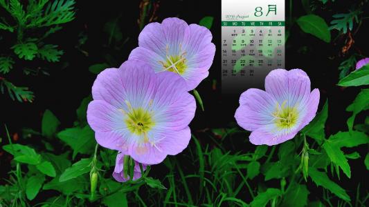 图片 _ 第(1)张