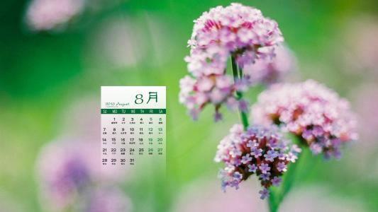 图片 _ 第(2)张