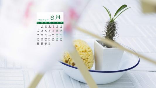 图片 _ 第(2)张