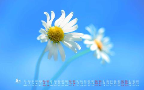 图片 _ 第(1)张