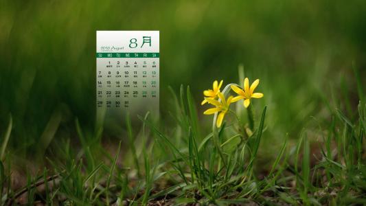 2016年8月日历图片 _ 第(1)张
