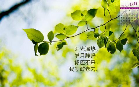图片 _ 第(3)张