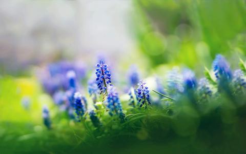 图片 _ 第(10)张