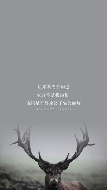 森林麋鹿童话插画高清手机壁纸第0张