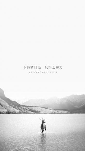 森林麋鹿童话插画高清手机壁纸第3张