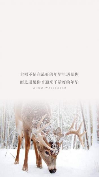 森林麋鹿童话插画高清手机壁纸第4张