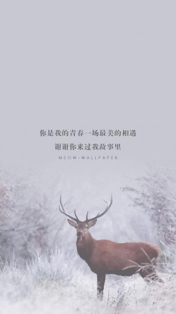 森林麋鹿童话插画高清手机壁纸第5张