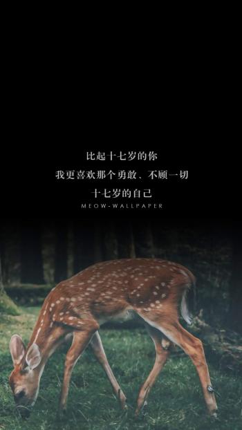森林麋鹿童话插画高清手机壁纸第6张