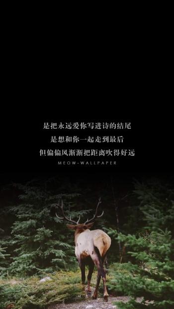 鹿图片图片 _ 第(9)张