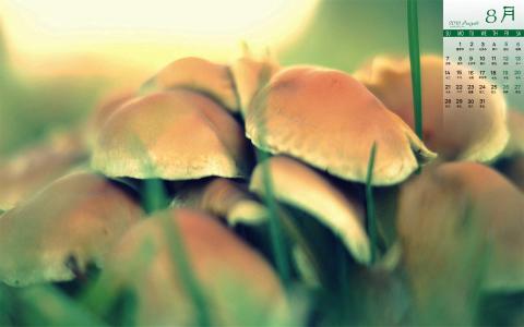 图片 _ 第(3)张