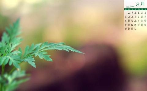 图片 _ 第(6)张