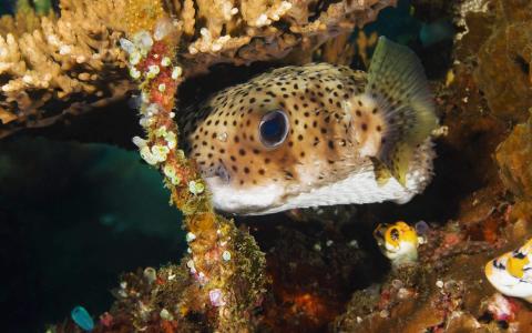 第0张