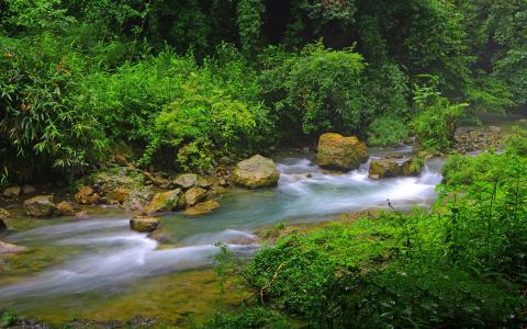 2017年1月柔和美丽风景高清日历壁纸第1张