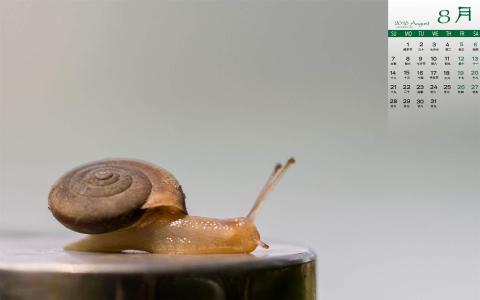图片 _ 第(9)张