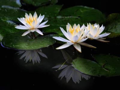 图片 _ 第(1)张