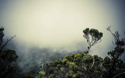 神秘唯美高清山水风景手机壁纸图片下载第3张