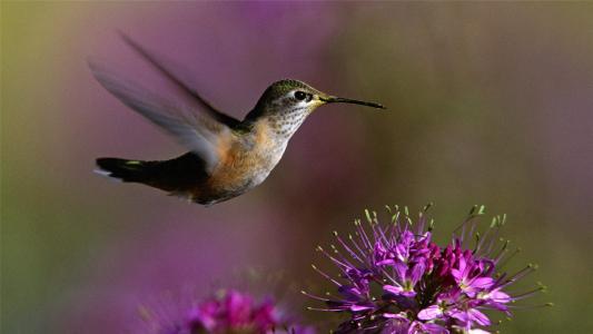 图片 _ 第(8)张