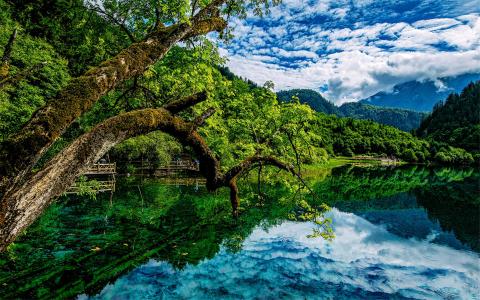 九寨沟图片 _ 第(9)张