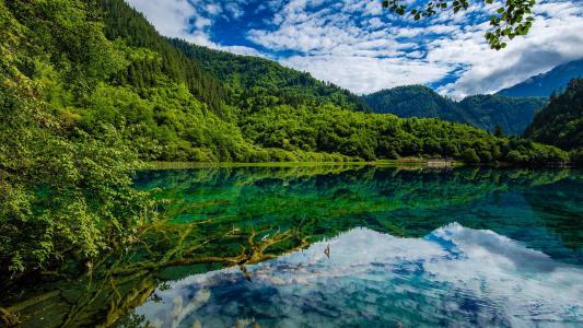 高清美景九寨沟唯美自然风景手机壁纸第3张