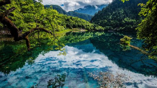 高清美景九寨沟唯美自然风景手机壁纸第4张