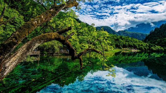 高清美景九寨沟唯美自然风景手机壁纸第5张