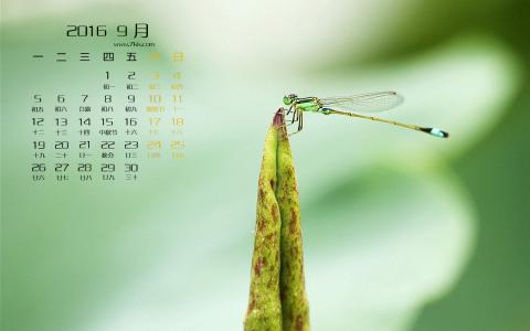 图片 _ 第(2)张