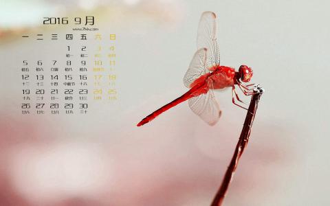 图片 _ 第(3)张