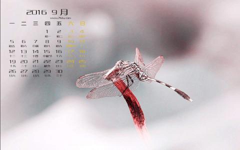 图片 _ 第(4)张