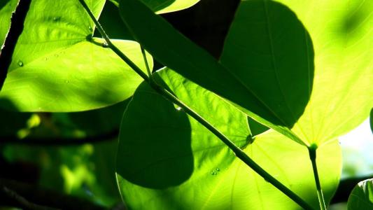 图片 _ 第(3)张