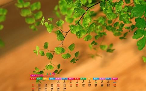 图片 _ 第(4)张