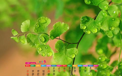 图片 _ 第(1)张